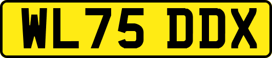 WL75DDX