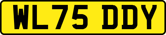 WL75DDY