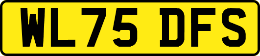 WL75DFS