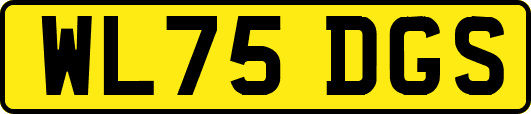WL75DGS