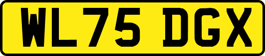 WL75DGX
