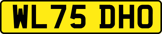 WL75DHO