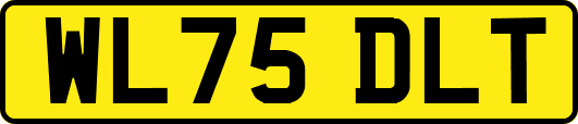 WL75DLT