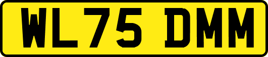 WL75DMM