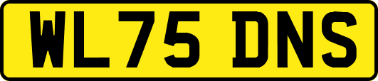 WL75DNS