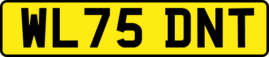 WL75DNT
