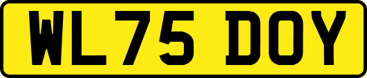 WL75DOY