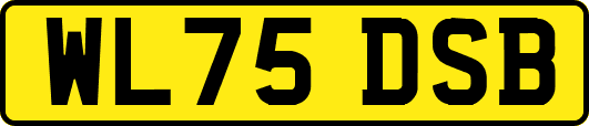 WL75DSB