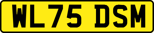 WL75DSM