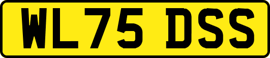 WL75DSS