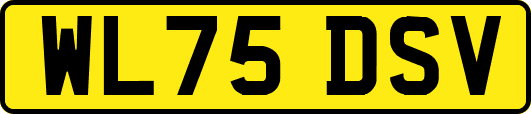 WL75DSV