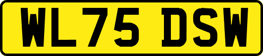 WL75DSW