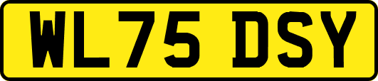 WL75DSY