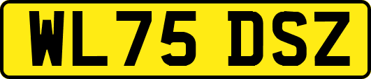 WL75DSZ