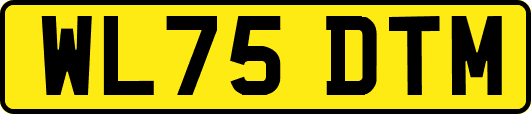 WL75DTM