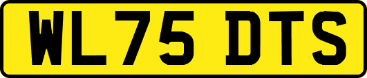 WL75DTS