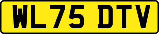 WL75DTV
