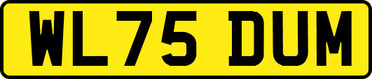 WL75DUM