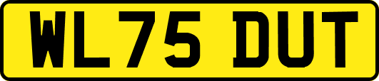 WL75DUT