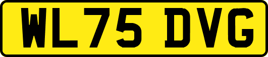 WL75DVG