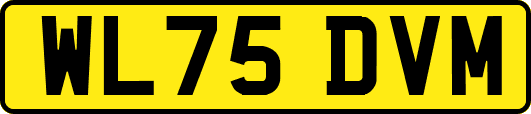 WL75DVM