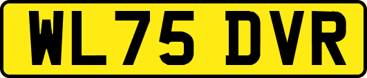WL75DVR