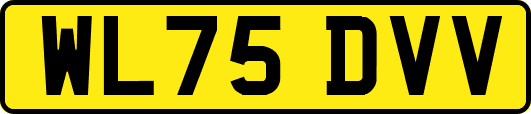 WL75DVV