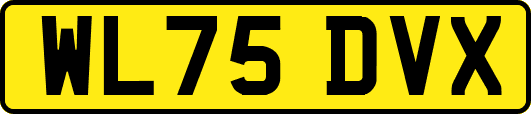 WL75DVX