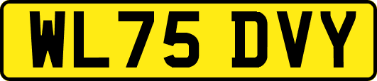 WL75DVY