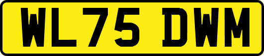 WL75DWM