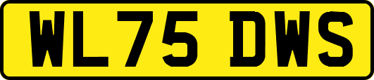 WL75DWS