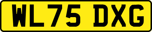 WL75DXG