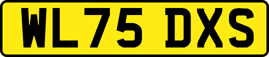 WL75DXS