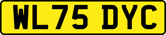 WL75DYC