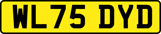 WL75DYD