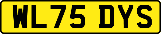 WL75DYS