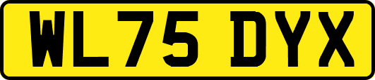 WL75DYX