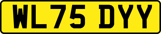 WL75DYY