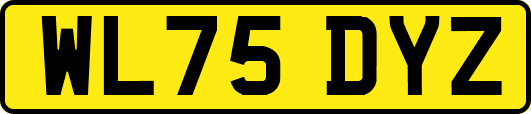 WL75DYZ