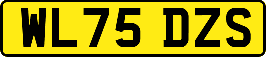 WL75DZS