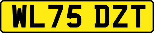 WL75DZT