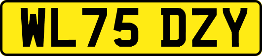 WL75DZY