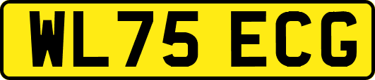 WL75ECG