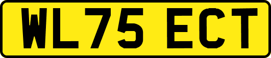 WL75ECT