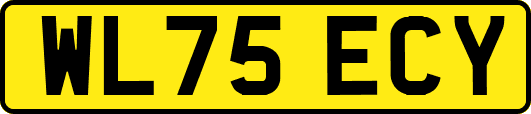WL75ECY