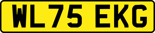 WL75EKG