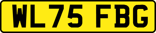 WL75FBG