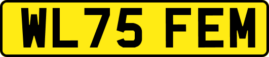WL75FEM
