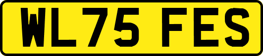 WL75FES