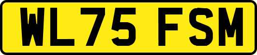 WL75FSM